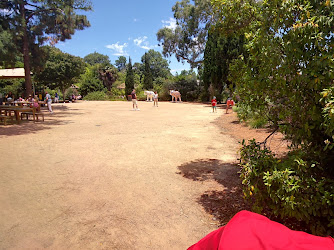 Melbourne Zoo