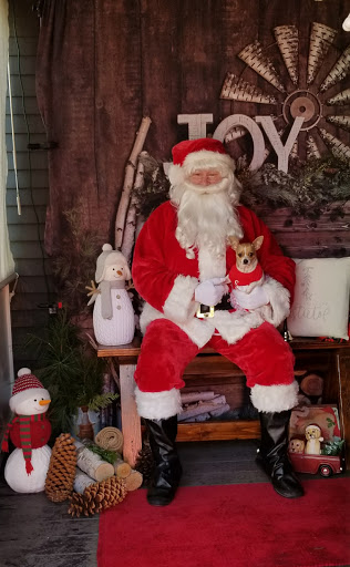 Pet Store «WOOF! WOOF! Pet Boutique & Biscuit Bar», reviews and photos, 31 Bradford St, Bristol, RI 02809, USA