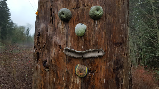 Nature Preserve «Redmond Watershed Preserve», reviews and photos, 21760 NE Novelty Hill Rd, Redmond, WA 98053, USA