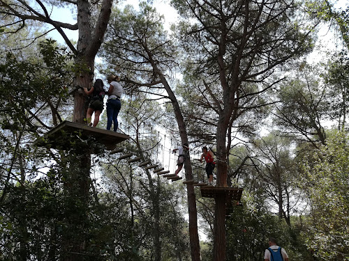 Bosc Vertical Mataró à Mataró