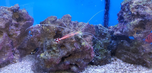 Pet Supply Store «Petco Animal Supplies», reviews and photos, 300 Hylan Dr, Rochester, NY 14623, USA