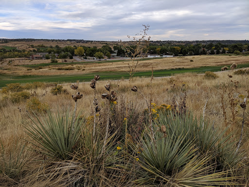 Golf Club «Bear Creek Golf Club», reviews and photos, 12201 Morrison Rd, Denver, CO 80228, USA