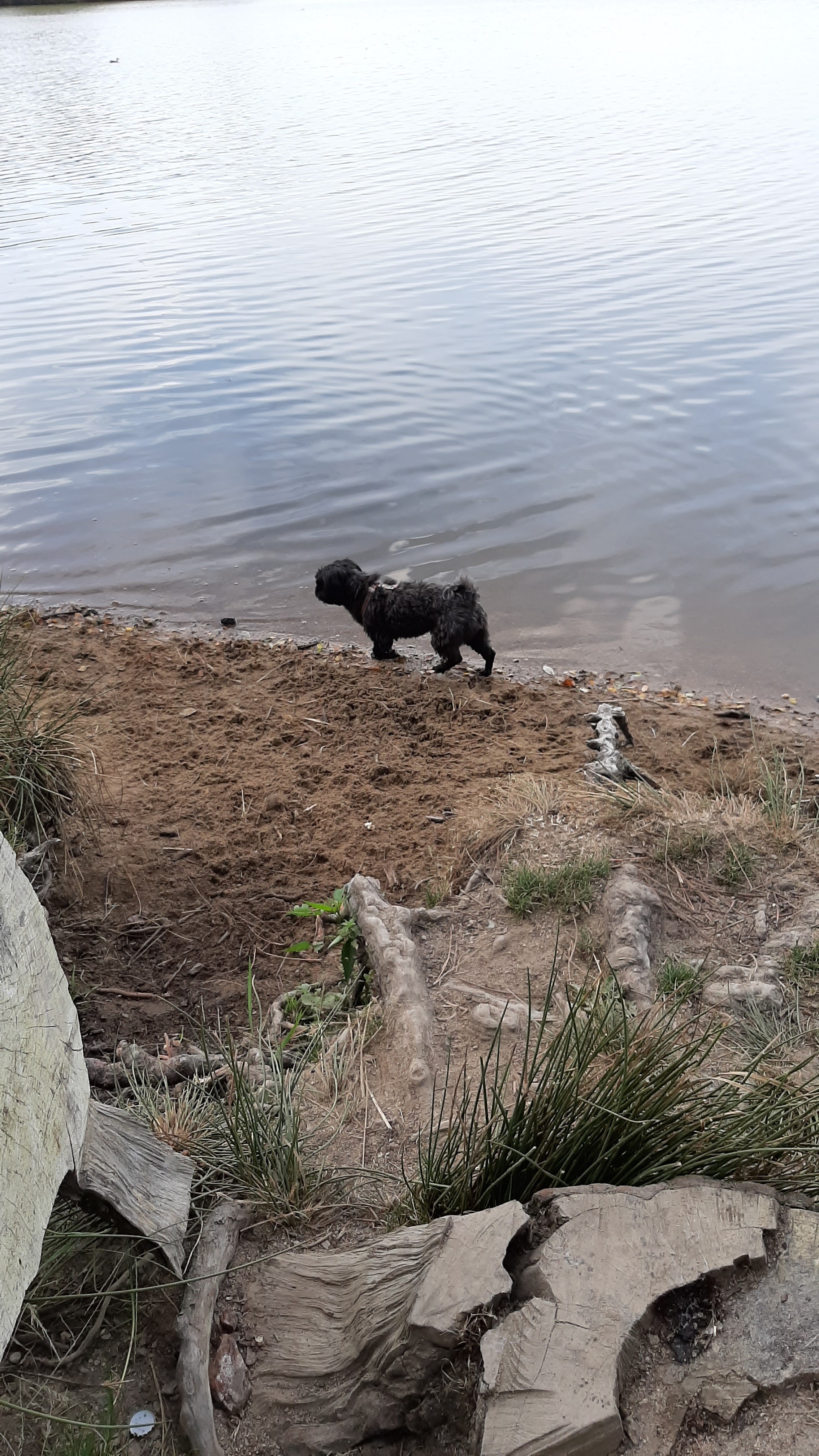 Photo n° 3 de l'avis de marie-thérèse.i fait le 30/08/2019 à 14:26