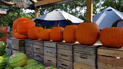 Garden Center «Nalls Produce», reviews and photos, 7310 Beulah St, Alexandria, VA 22315, USA