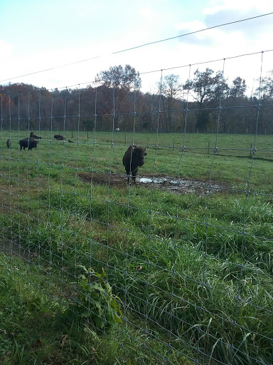 Casino «Hollywood Casino & Hotel Lawrenceburg», reviews and photos, 777 Hollywood Blvd, Lawrenceburg, IN 47025, USA