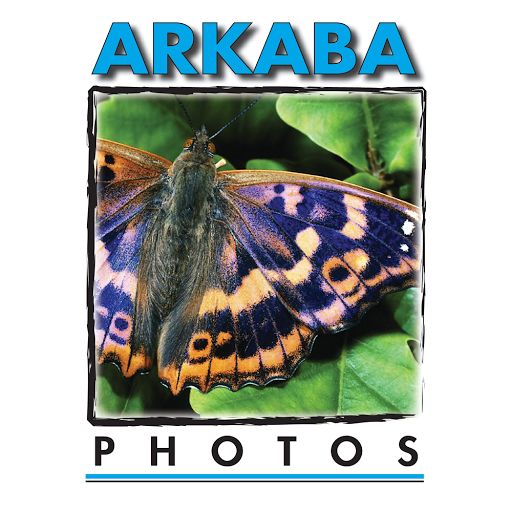 Arkaba Photos