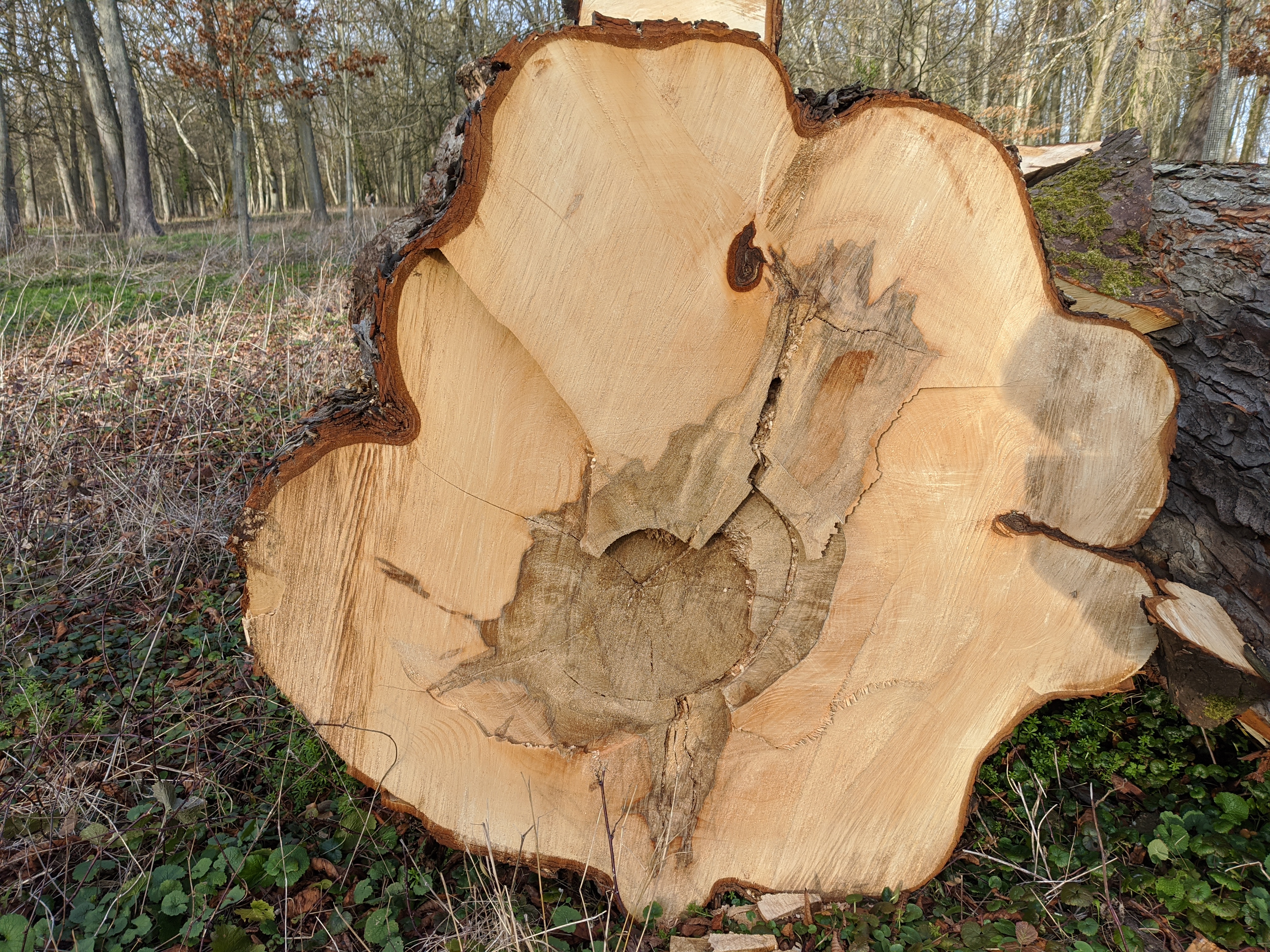 Photo n° 1 de l'avis de Jean-Michel.U fait le 31/10/2021 à 20:19
