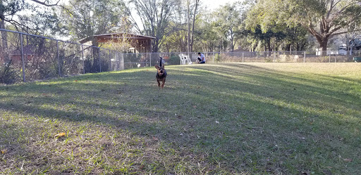 Park «Lutz Dog Park», reviews and photos, 122 1st Ave SW, Lutz, FL 33548, USA