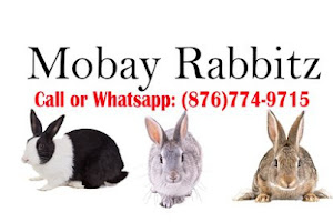 Mobay Rabbitz image