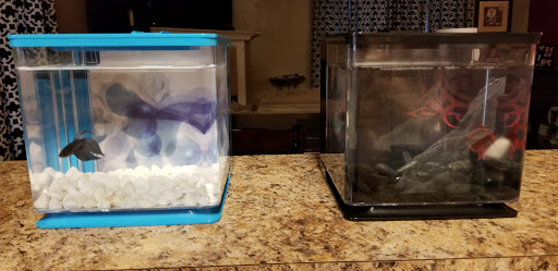 Pet Supply Store «PetSmart», reviews and photos, 1759 Apalachee Pkwy, Tallahassee, FL 32301, USA