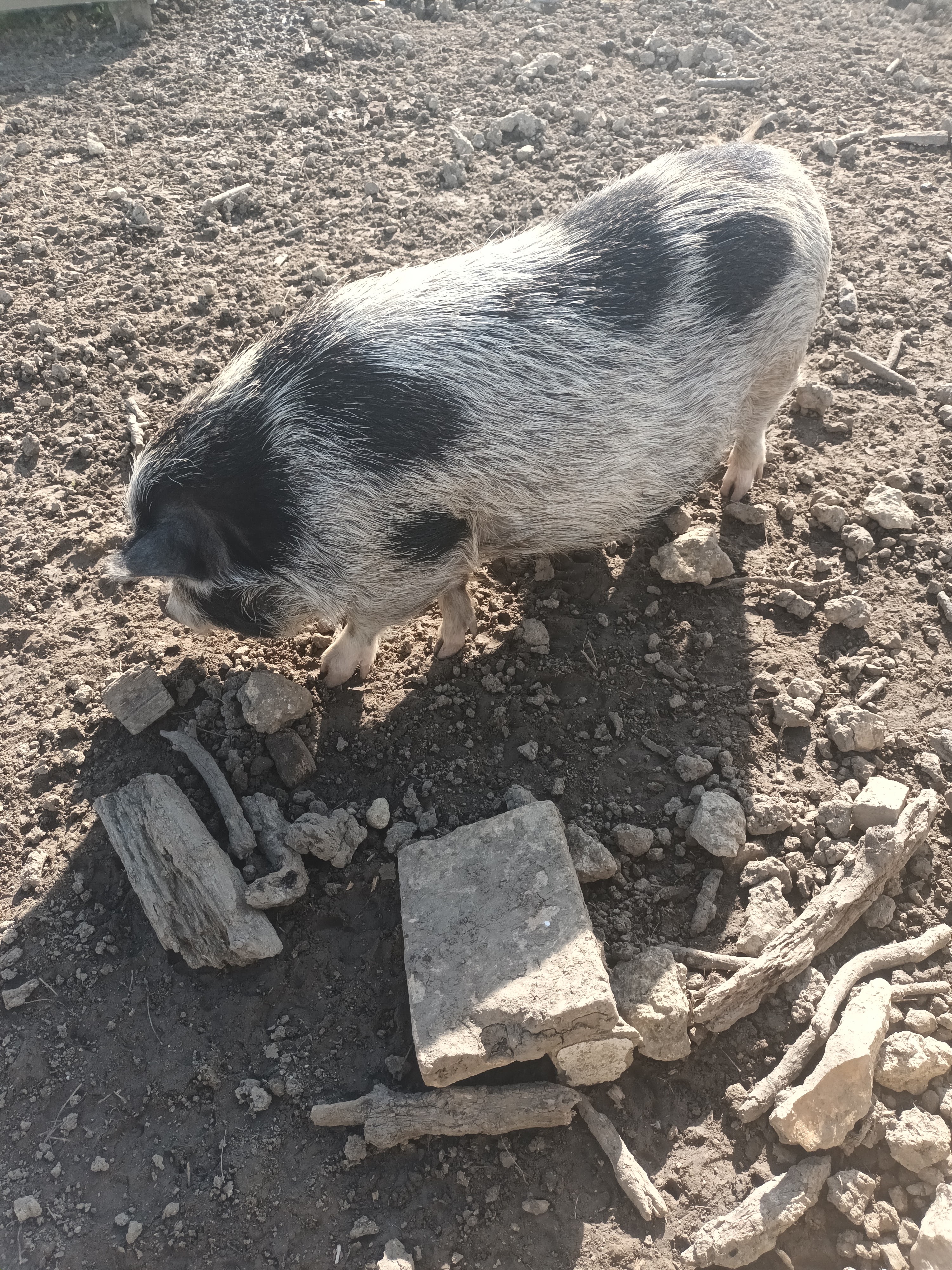 Photo n° 2 de l'avis de mélanie.e fait le 19/02/2023 à 14:46