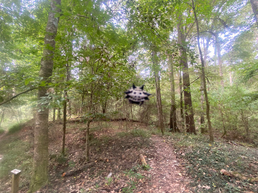 Nature Preserve «MaryAnn Brown Nature Preserve», reviews and photos, 13515 LA-965, St Francisville, LA 70775, USA