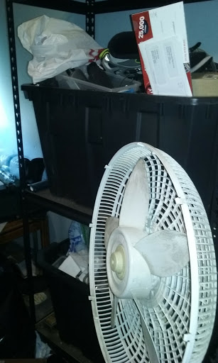 Clothing Store «Ross Dress for Less», reviews and photos, 4080 Madison St, Riverside, CA 92504, USA