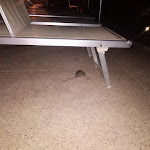 Photo n°3 de l'avis de Thomas.� fait le 16/08/2018 à 23:24 sur le  Hotel Romeo à Torri del Benaco