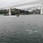 Photo n°5 de l'avis de António.i fait le 19/08/2023 à 15:14 sur le  Restaurante Marina do Freixo à Porto