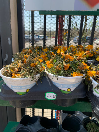 Department Store «Walmart Supercenter», reviews and photos, 200 Academy Dr, Ripley, WV 25271, USA