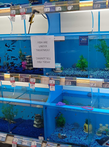 Pet Supply Store «PetSmart», reviews and photos, 4429 Pecanland Mall Dr, Monroe, LA 71203, USA