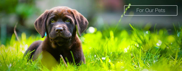 Unique Manufacturing & Marketing 5752 N Lamar St, Arvada, CO 80002, United States