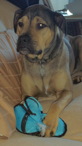 1700 Ranch Rd 620 N # 106, Lakeway, TX 78734, USA