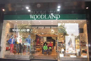 Woodland image