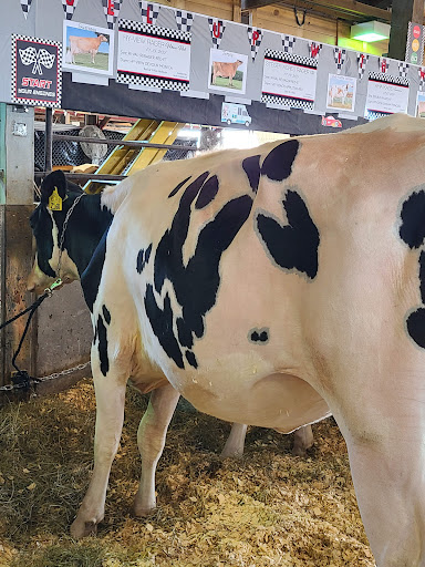 Fairground «Wisconsin State Fair Park», reviews and photos, 640 S 84th St, West Allis, WI 53214, USA