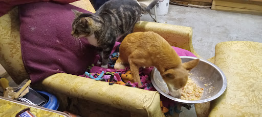 Mps Clc – Food Distribution Center