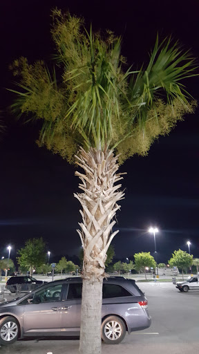 Department Store «Walmart Supercenter», reviews and photos, 545 Garden City Con, Murrells Inlet, SC 29576, USA