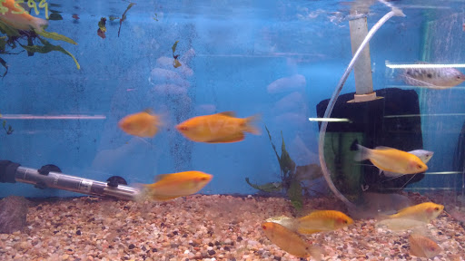 Shopping Mall «Chester Shopping Mall», reviews and photos, 23 W Main St, Chester, NJ 07930, USA