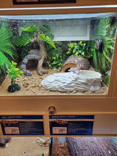 Pet Supply Store «PetSmart», reviews and photos, 849 E 23rd St, Panama City, FL 32405, USA
