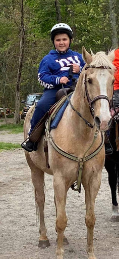 Tourist Attraction «C and L Stables», reviews and photos, 1095 Ives Rd, East Greenwich, RI 02818, USA