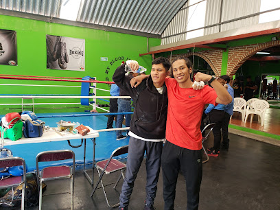 Puebla Boxing Club - Calle Camino Real A San Felipe 115, Fuentes la Pedrera, 72040 Puebla, Pue., Mexico