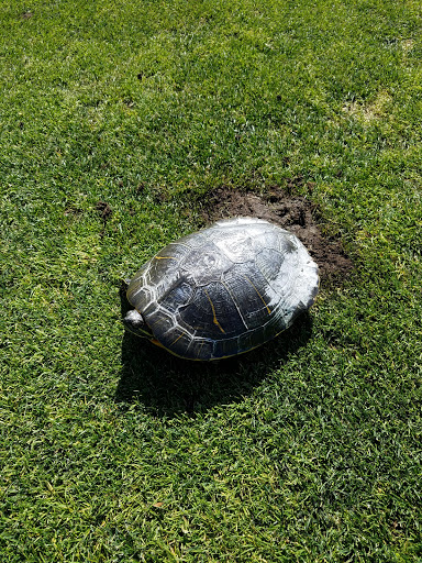 Golf Course «Forest Park Golf Course», reviews and photos, 101 Forest Park Dr, Woodhaven, NY 11421, USA