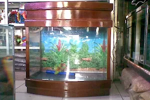 Palm Aquarium Dasana image