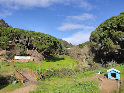 Quinta Pedagógica Armando Villar