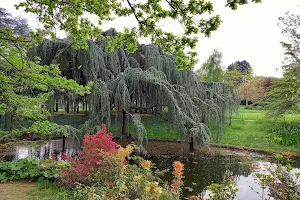 Arboretum of the Valley of Wolves image
