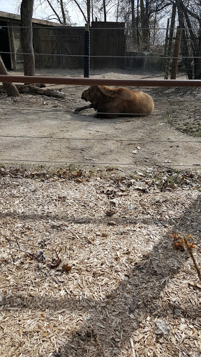 Golf Club «Safari Golf Club», reviews and photos, 4850 W Powell Rd, Powell, OH 43065, USA