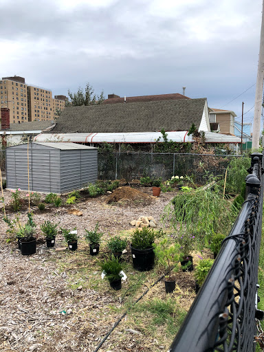 Edgemere Coalition Community Garden image 5