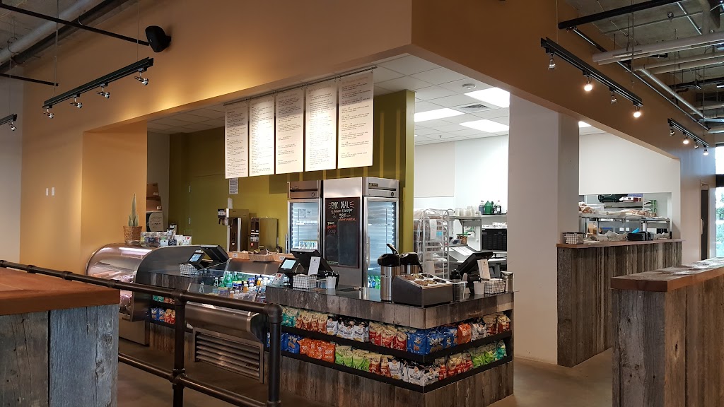 Yampa Sandwich Co. 80237