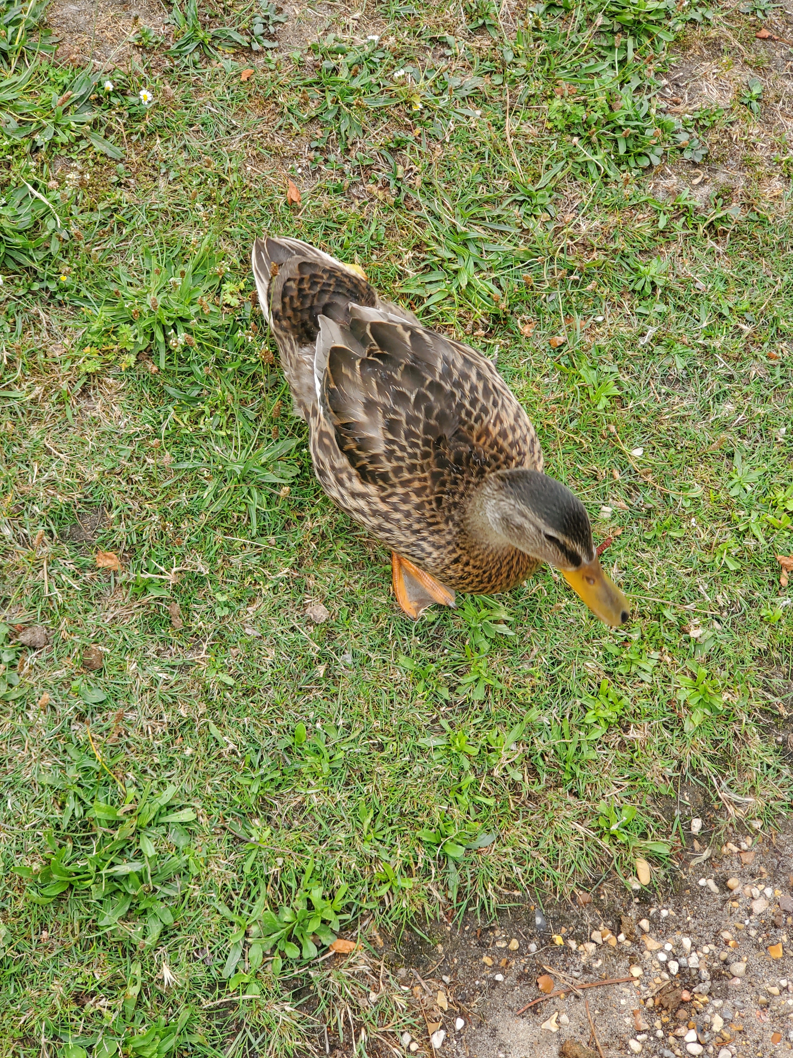 Photo n° 2 de l'avis de Fabienne.a fait le 21/07/2023 à 10:09