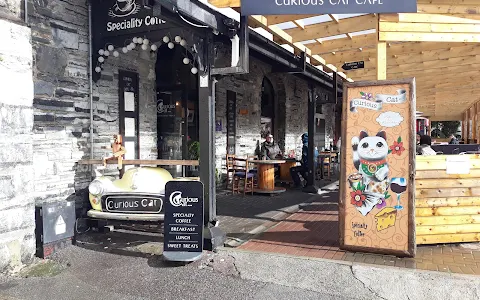 Curious Cat Café image