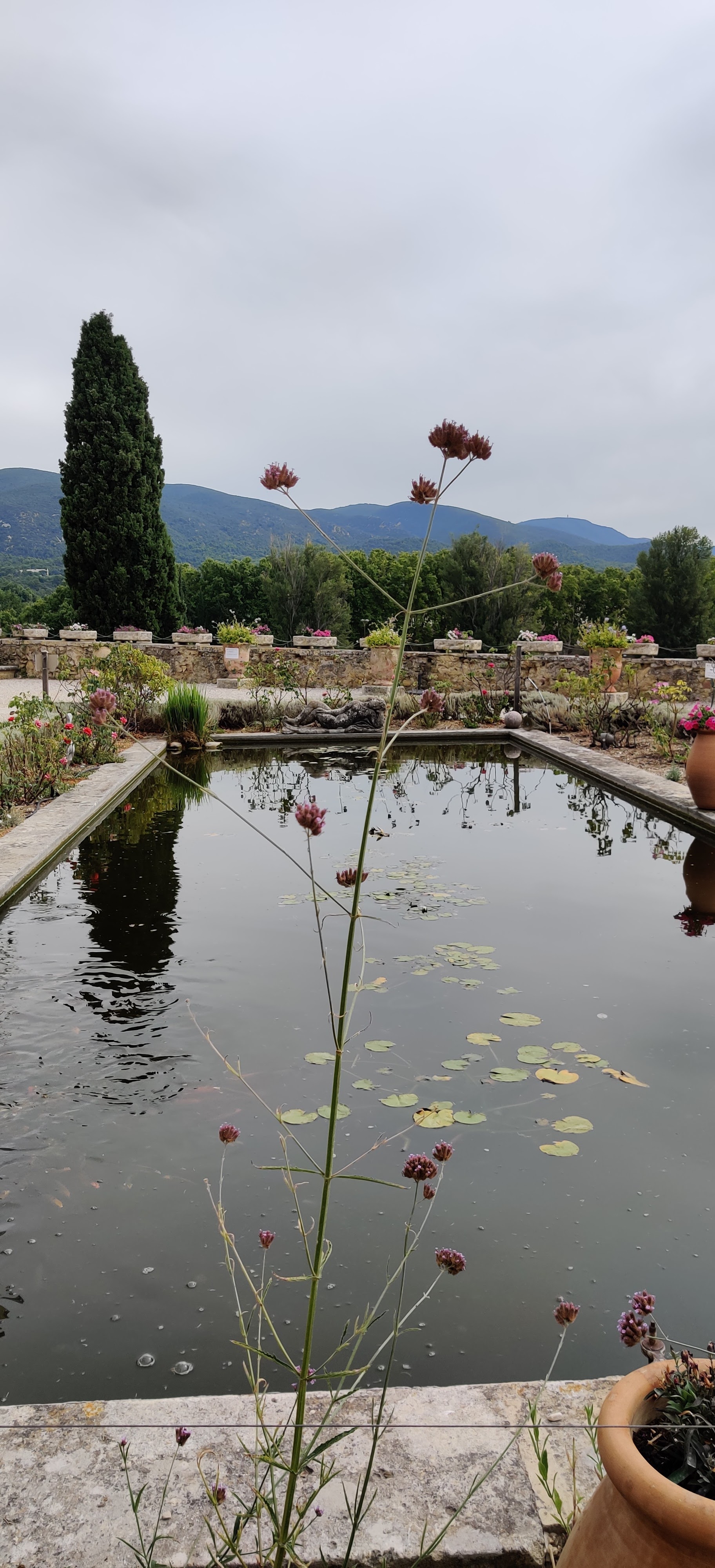 Photo n° 19 de l'avis de Laurent.e fait le 03/08/2020 à 13:37