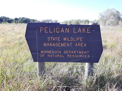 Pelican Lake State Wildlife Management Area