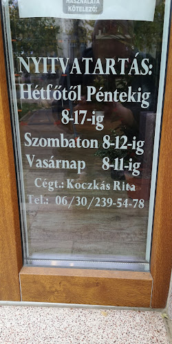 Opinii despre Tündérrózsa Virágbolt în Makó - Virágárus