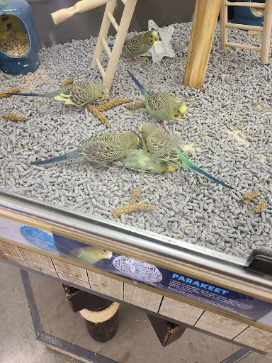 Pet Supply Store «Petco Animal Supplies», reviews and photos, 4663 Firestone Blvd, South Gate, CA 90280, USA