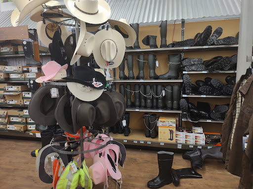 Home Improvement Store «Tractor Supply Co.», reviews and photos, 154 Vestal Pkwy W, Vestal, NY 13850, USA