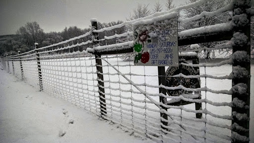 Farm «Manoff Market Gardens», reviews and photos, 3157 Comfort Rd, Solebury, PA 18963, USA