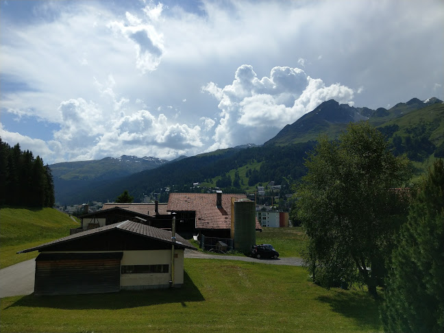 Appartment Bedra - Davos