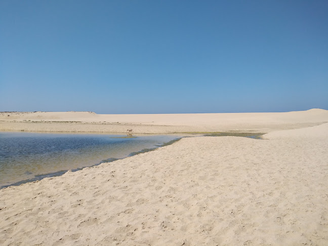 Avaliações doReserva Natural das Lagoas de Santo André e Sancha em Santiago do Cacém - Outro