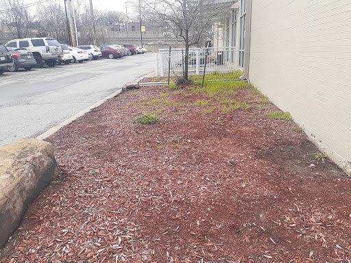 Blood Donation Center «CSL Plasma», reviews and photos