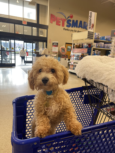 Pet Supply Store «PetSmart», reviews and photos, 467 Cross Keys Rd, Sicklerville, NJ 08081, USA